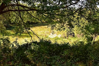 Istra, Svetvinčenat, Štokovci, zazidljivo kmetijsko zemljišče 9270m2 #prodaja