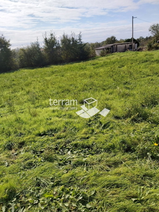 Istra, Žminj, Cere, gradbeno zemljišče, 660 m2, prodaja