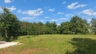 Z-655, Tinjan – okolica (pribl. 3 km): Stavbno zemljišče z dodatnim kmetijskim zemljiščem