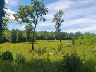 Prodaja, Medvidići, Stavbno zemljišče 802 m², Z-653