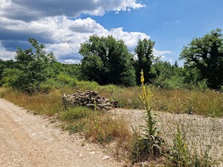 Z-646, RAPAVEL pri Višnjanu, stavbno zemljišče na mirni lokaciji 503 m2