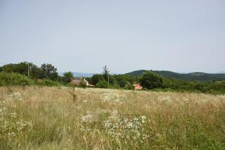 Zemljišče s pogledom na Motovun