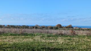 Stavbno zemljišče Poreč, 1.500m2