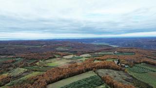 Zazidljivo zemljišče 970 m² – Vižinada, Istra