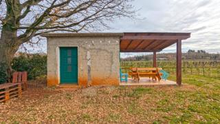 Kmetijsko zemljišče v Poreču – 18.000 m² z gospodarskim objektom