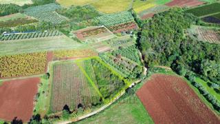 Kmetijska zemljišča Nova Vas, Poreč, 2.126m2