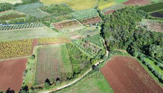 Kmetijska zemljišča Nova Vas, Poreč, 6920 m2