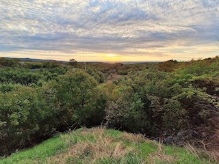 Istra, Ripenda Kras – 4 km od Rabca, prodaja se kmetijsko zemljišče s površino 8.480 m²