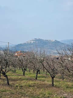 Zemljišče Motovun