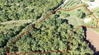 Hiše za obnovo s 3600 m2 gradbenega zemljišča v Oprtlju
