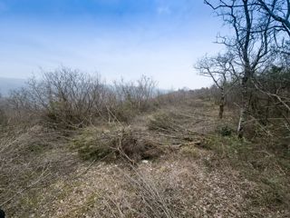 Zemljišče Labin, 1.700m2
