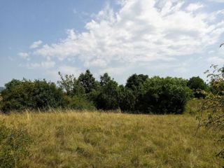 Zemljišče Labin, 8.100m2