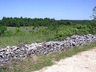 Zemljišče Žminj, 876m2
