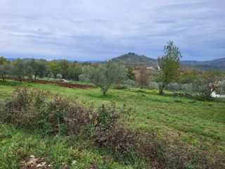 Zemljišče Buzet, 3.109m2