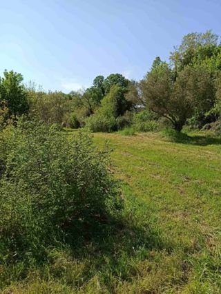 Zazidljivo zemljišče 1195 m2, širše območje Marčane