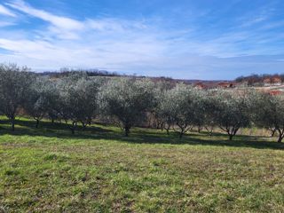 Zemljišče Vižinada, 635m2