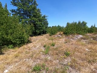 Zemljišče Svetvinčenat, 2.472m2