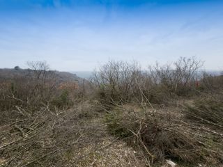 Zemljišče Labin, 1.600m2