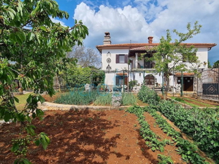 Istra, Buje, Oprtalj širša okolica, samostojna avtohtona hiša 250 m2, z zemljiščem 1100 m2, prodaja
