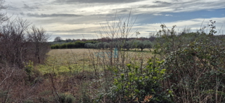 Istra, Umag, gradbeno in kmetijsko zemljišče 1250 m2, prodaja