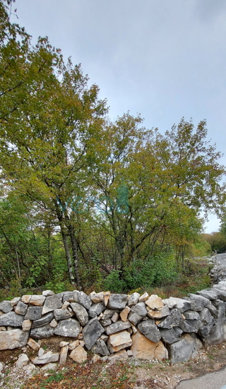 Dobrinj, otok Krk, okolica, zazidljivo zemljišče 915 m2, prodamo
