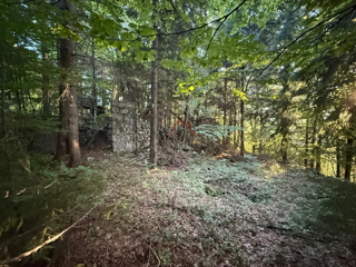 LOKVE - Gradbeno zemljišče, 3072 m2