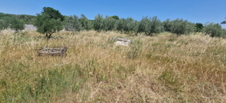 Zadar, Briševo, gradbeno zemljišče (1108 m2)