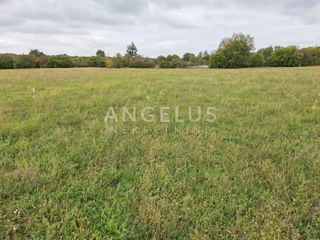 Zemljišče Kanfanar, 11.454m2