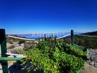 Šolta - urejen oljčni nasad s pogledom na morje, 4800 m2