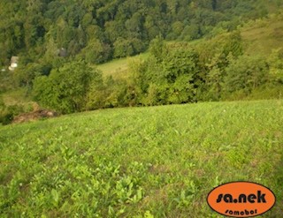 Kmetijsko zemljišče na Svetonedeljskem Bregu