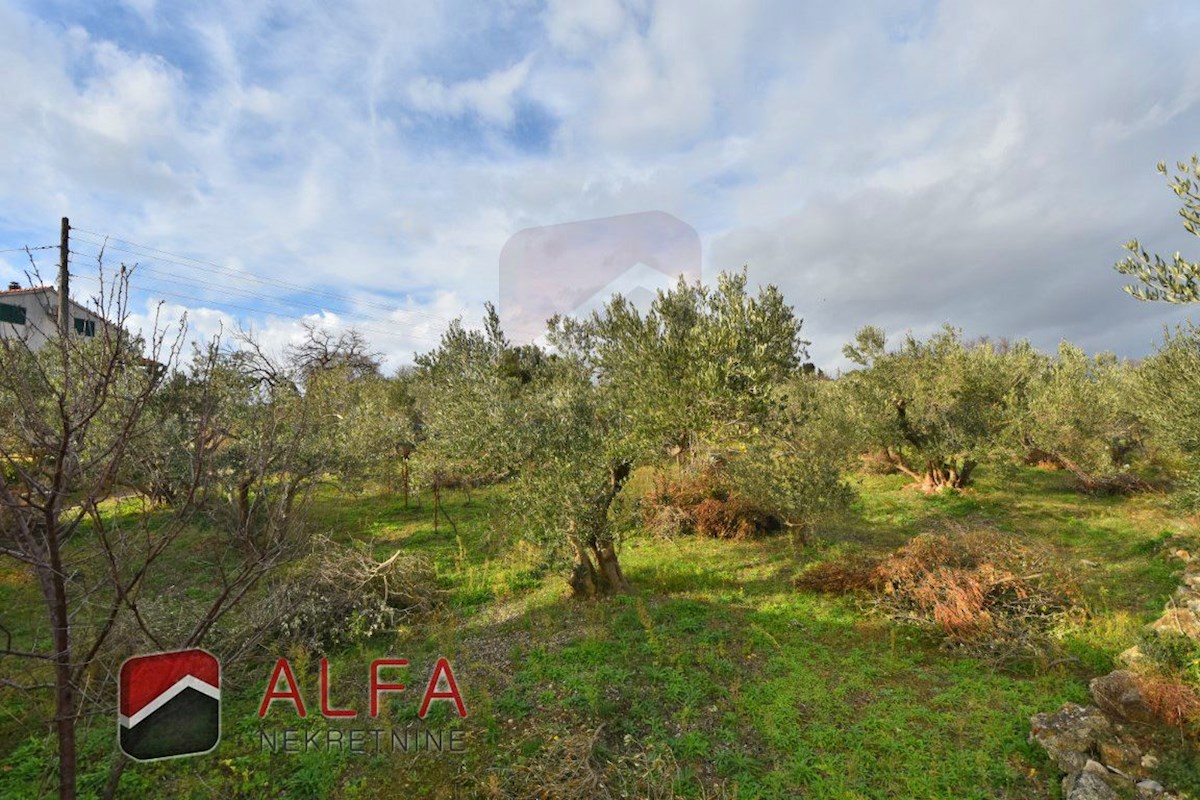 Hrvaška, otok Prvić, Šepurine – hiša naprodaj z velikim vrtom in pogledom na morje