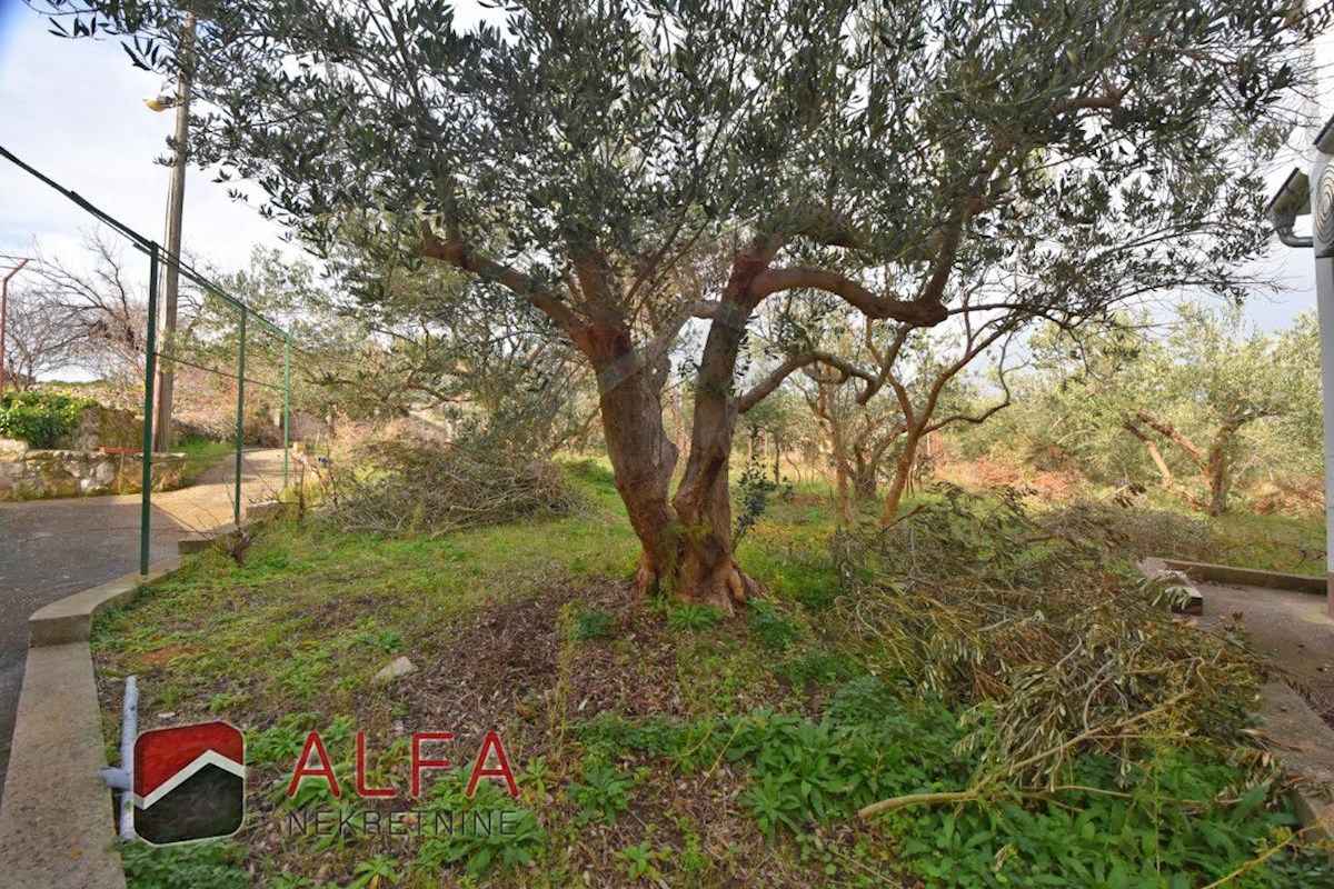 Hrvaška, otok Prvić, Šepurine – hiša naprodaj z velikim vrtom in pogledom na morje