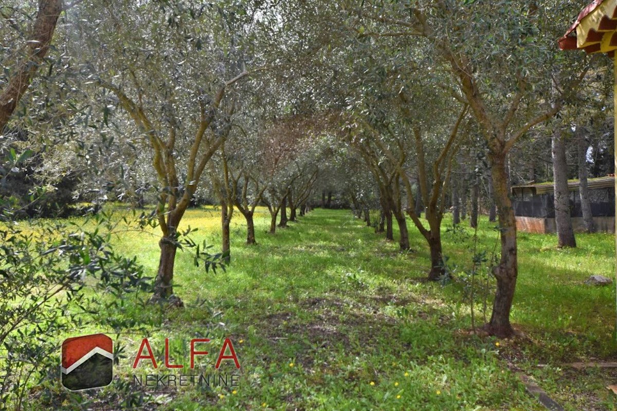 Hrvaška, območje Šibenika, ekskluzivna zasebna posest z vilo, bazenom in teniškim igriščem na 16.695 m² zemljišča