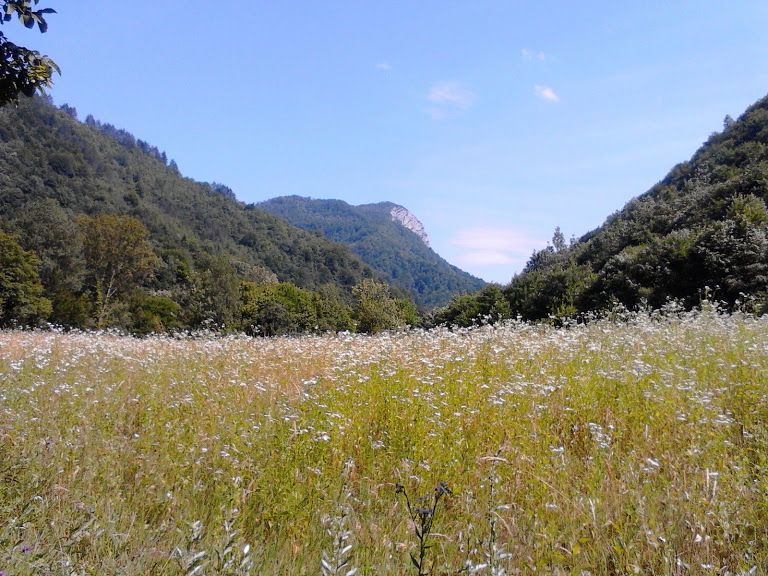 Zemljišče Gašparci, Delnice, 60.000m2