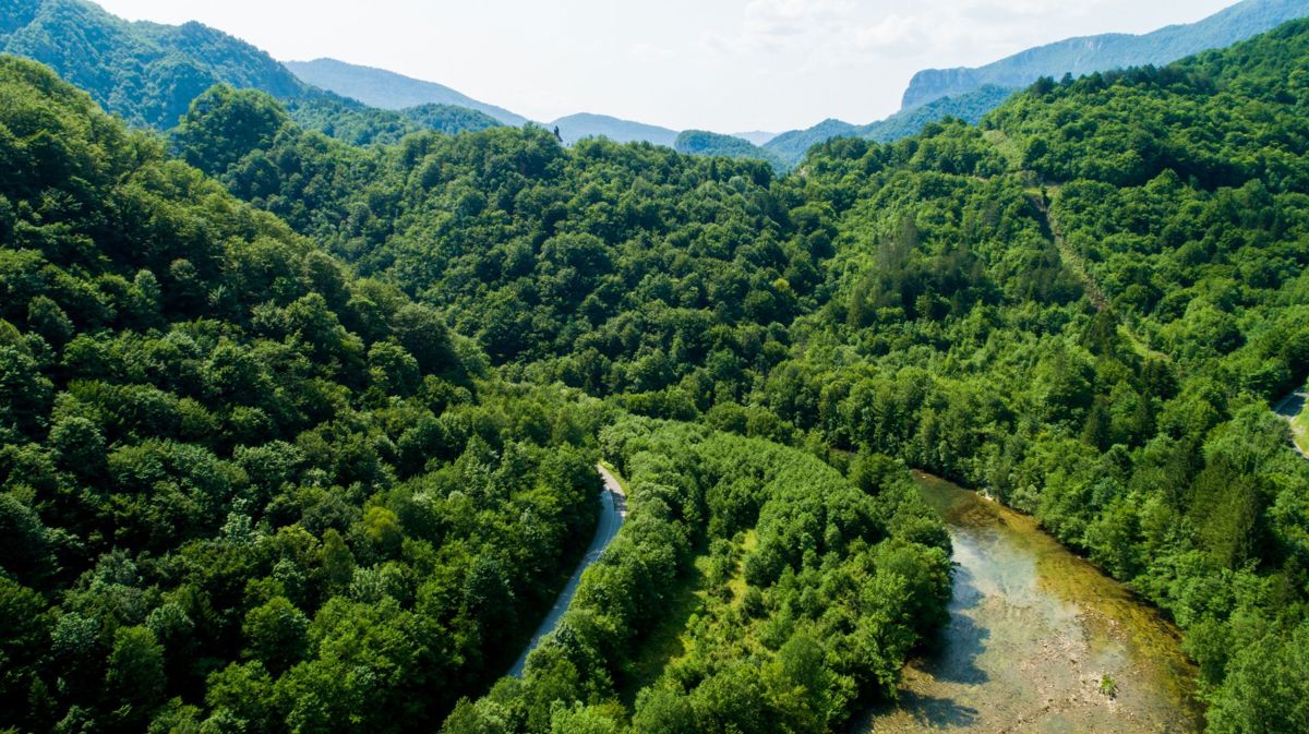 Zemljišče Gašparci, Delnice, 60.000m2