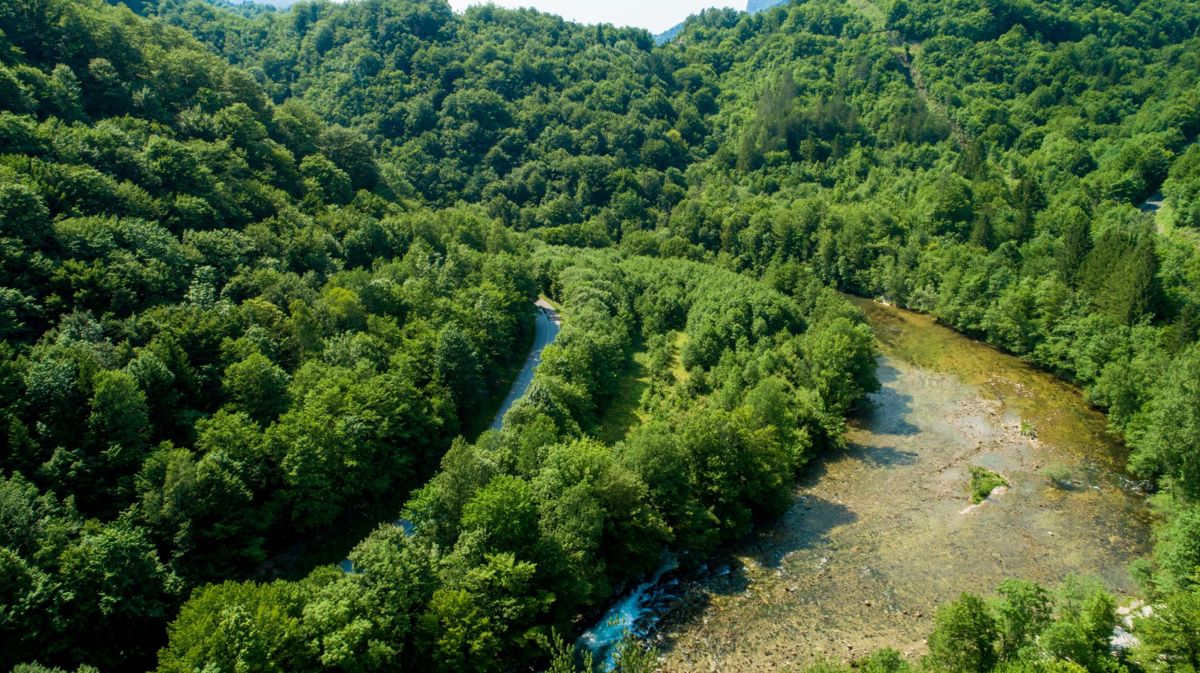 Zemljišče Gašparci, Delnice, 60.000m2