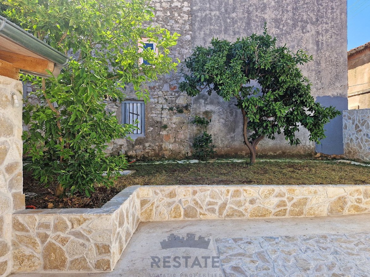 VAS ČAKA | le 100 m od morja