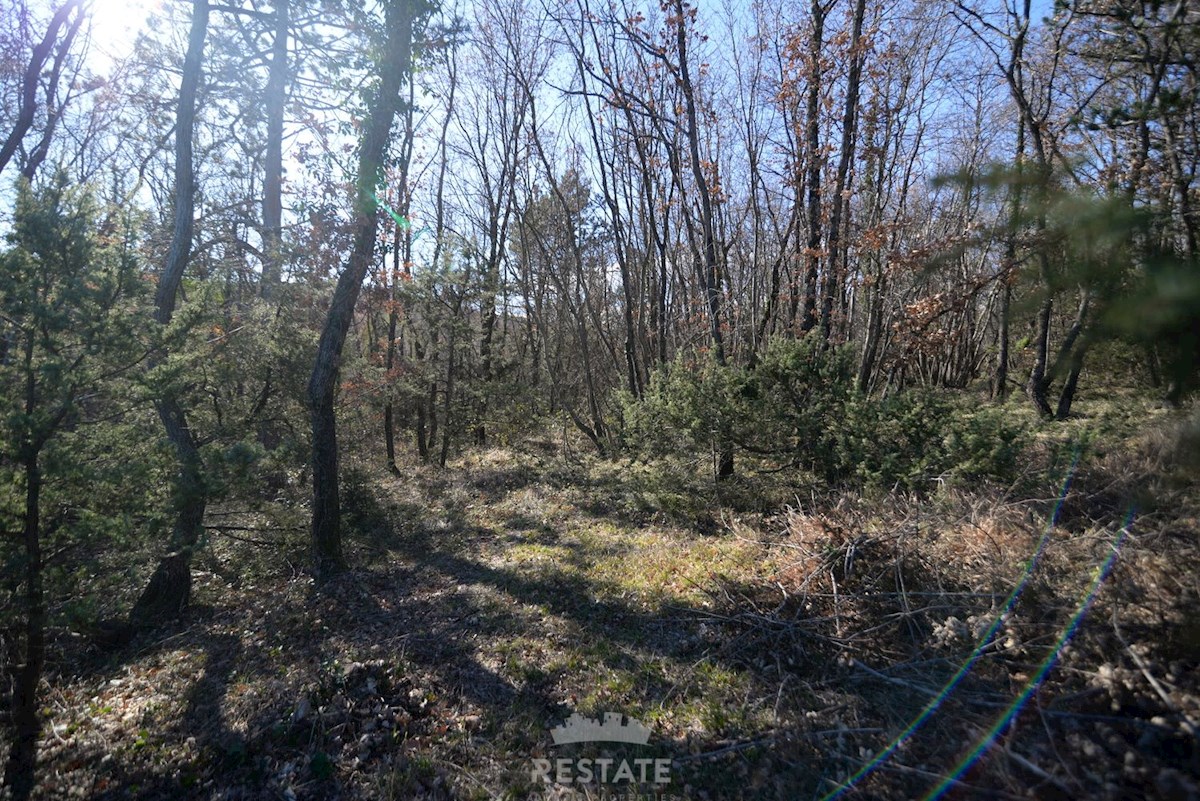 Veliko kmetijsko zemljišče z legaliziranim objektom. Idilična lokacija sredi narave, 6 km do morja.