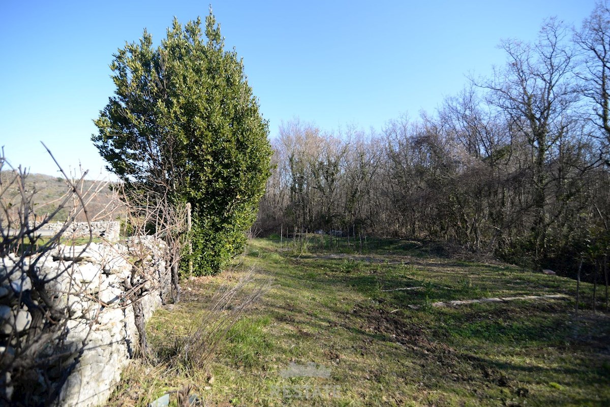 Veliko kmetijsko zemljišče z legaliziranim objektom. Idilična lokacija sredi narave, 6 km do morja.
