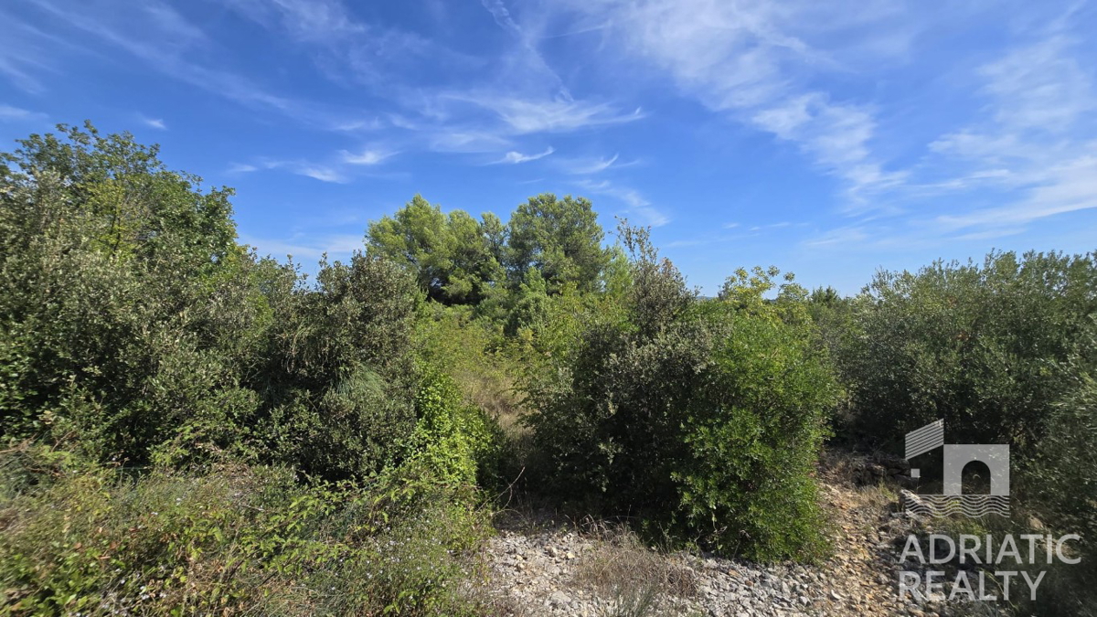Šibenik, kmetijsko zemljišče v bližini šibenskega mostu