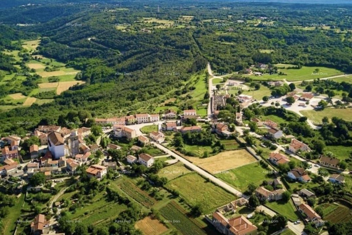 Zazidljivo zemljišče s projektom, Tinjan