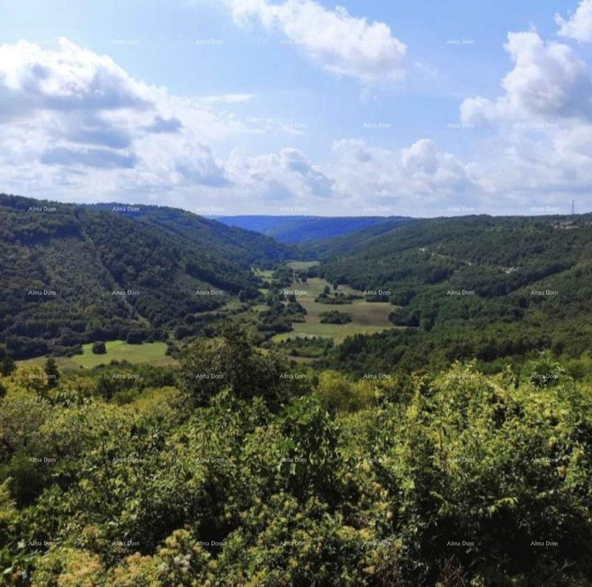 Zazidljivo zemljišče s projektom, Tinjan