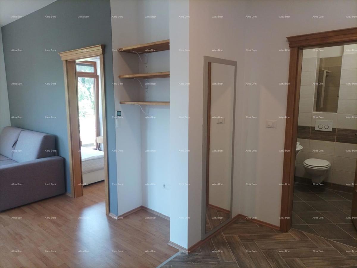 Apartma z 2 spalnicama  v Premanturi blizu morja