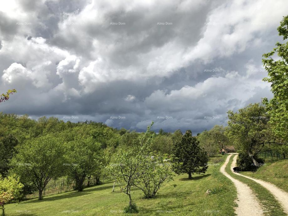 Na prodajo je čudovita nepremičnina, obdana z gozdovi in vinogradi, s pogledom na Gračišće in Učko!