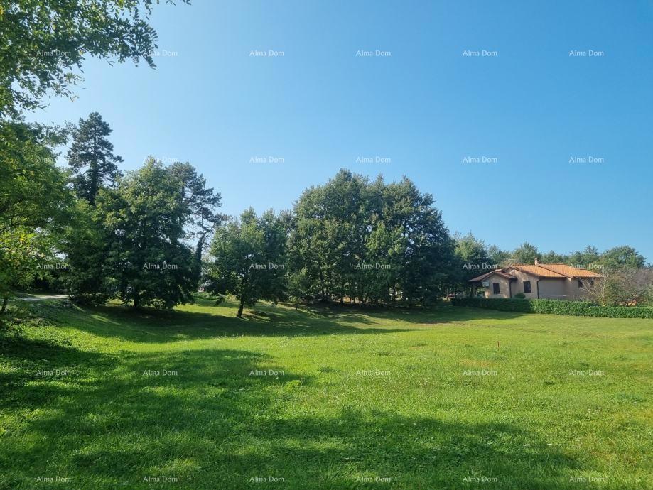 Hiša Pazin