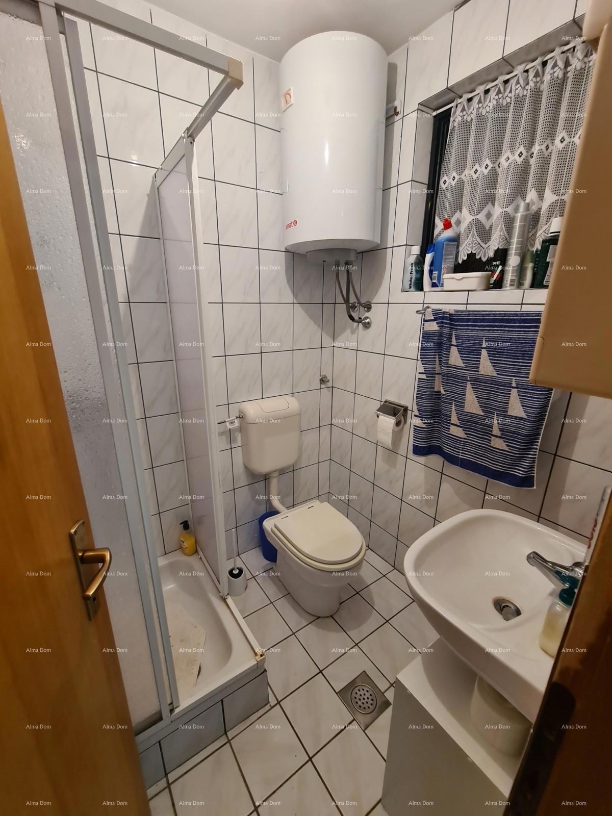 Hiša z dvema apartmajema na prodaj, Pavićini!