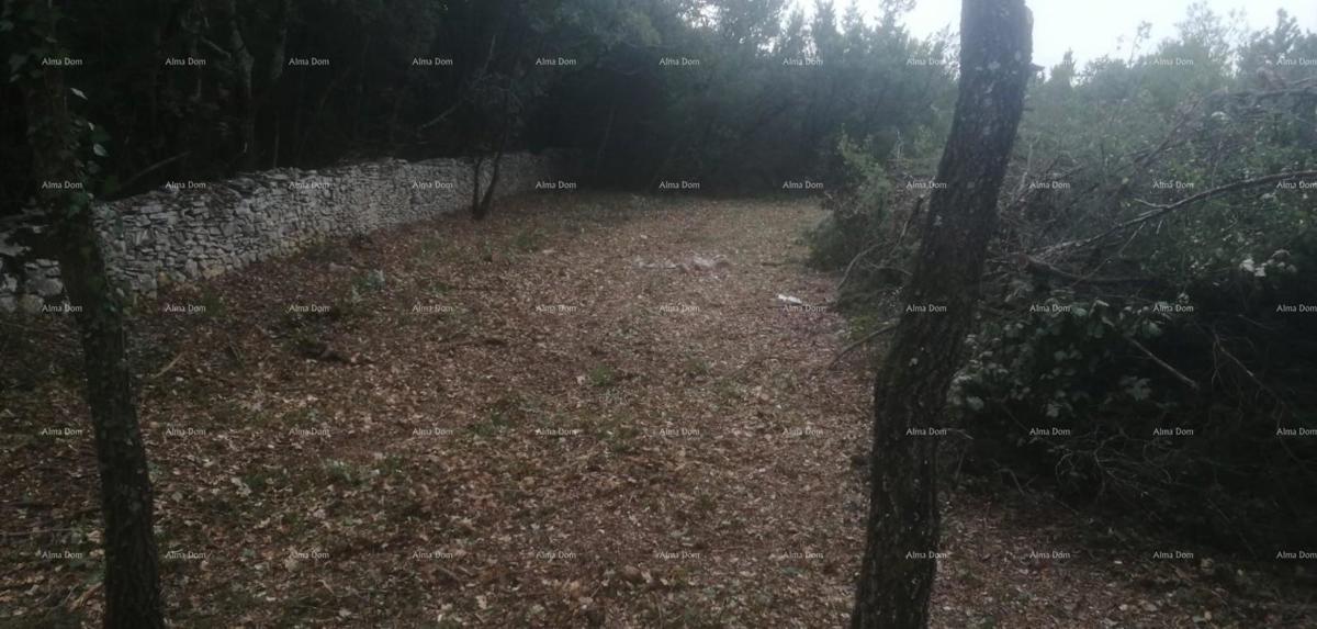 Građevinsko in kmetijsko zemljišče v bližini Svetvinčenta: 11100 m² za vašo naložbo