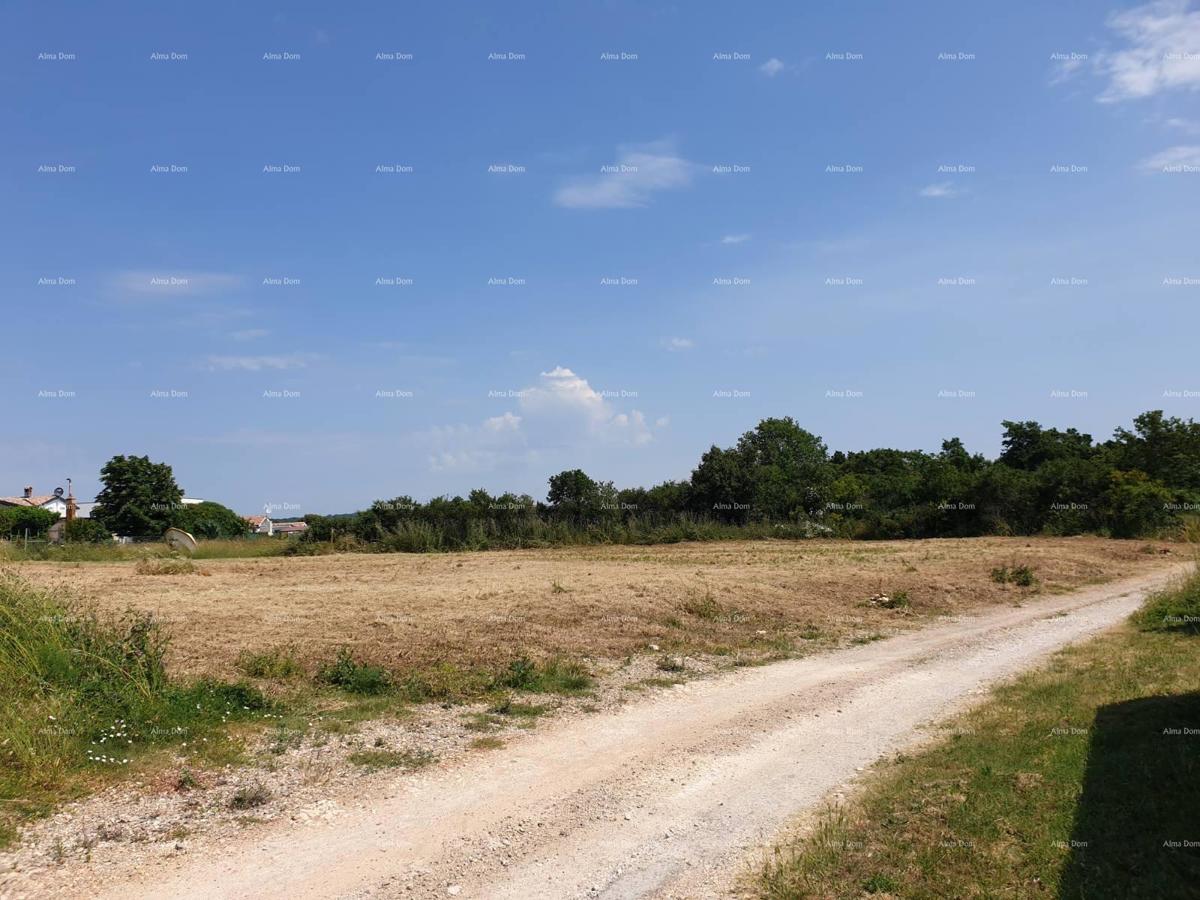 Prostrana gradbena parcela velikosti 1700 m² v Šišanu - idealna priložnost za vaš dom ali naložbo