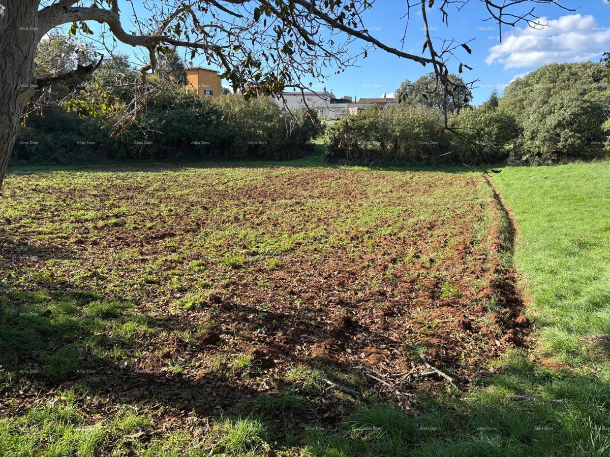 MARČANA - Prodaja: Nov eko-hotelski kompleks v slogu kmečkega umika