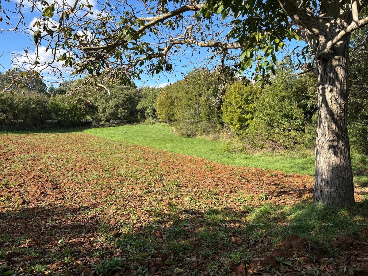 MARČANA - Prodaja: Nov eko-hotelski kompleks v slogu kmečkega umika